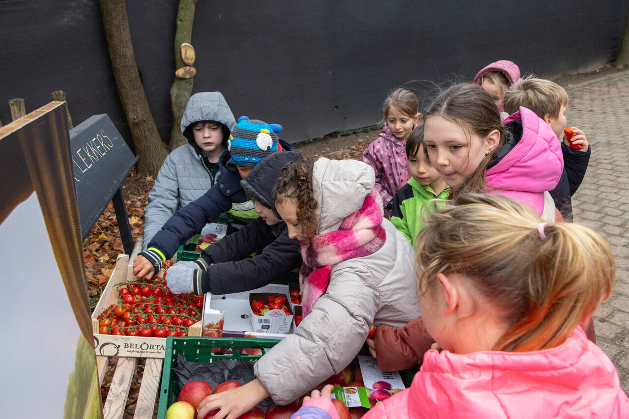 13658 P 018 Dann Mid